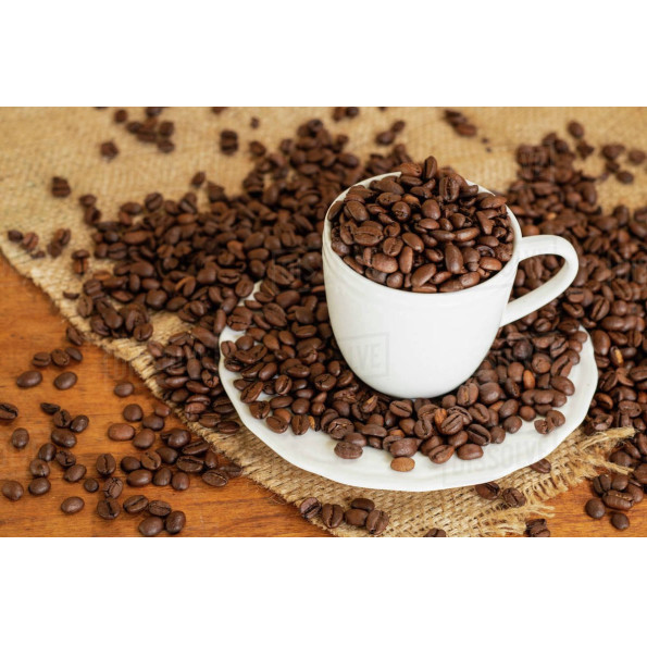 Espresso Cups With Saucers 90ml Chip Resistant, Stackable Set of 12Pcs , Perfect for Home and Office