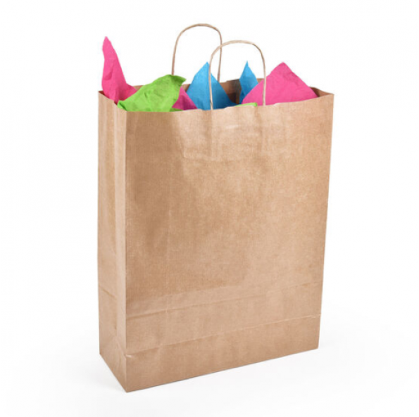 Detpak Small High Strength Paper Twisted Handle Bag Pack Of 25Pcs