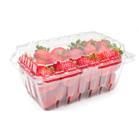 Punnet 1000gram