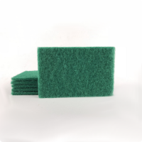 Scrubbuing pad 4 pc